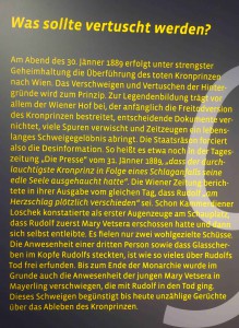 DSC05484 Vertuschung bearb